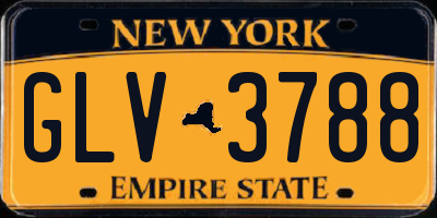 NY license plate GLV3788