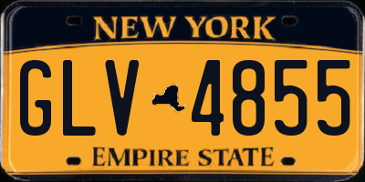 NY license plate GLV4855