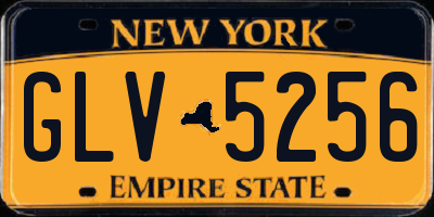 NY license plate GLV5256