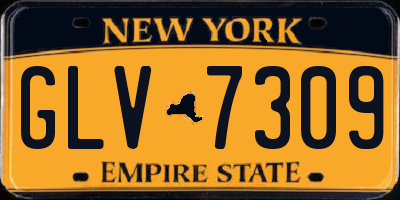 NY license plate GLV7309