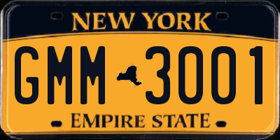 NY license plate GMM3001