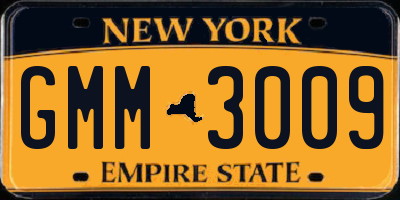 NY license plate GMM3009