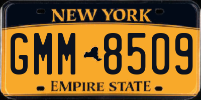 NY license plate GMM8509