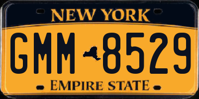 NY license plate GMM8529