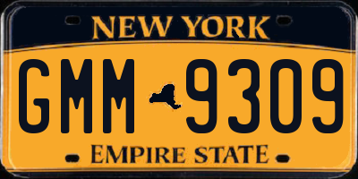 NY license plate GMM9309