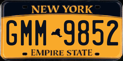 NY license plate GMM9852