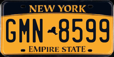 NY license plate GMN8599