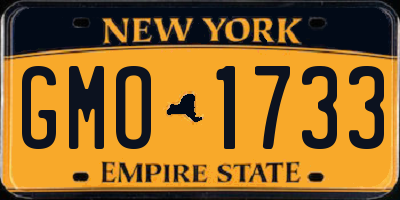 NY license plate GMO1733