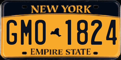 NY license plate GMO1824