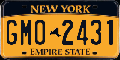 NY license plate GMO2431