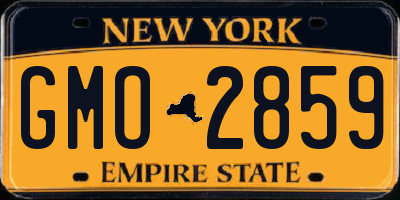 NY license plate GMO2859