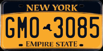 NY license plate GMO3085