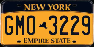 NY license plate GMO3229