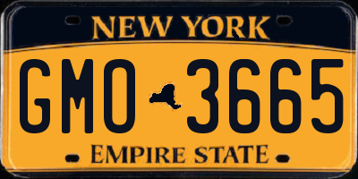 NY license plate GMO3665