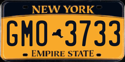 NY license plate GMO3733