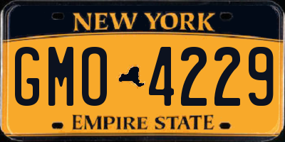 NY license plate GMO4229