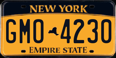 NY license plate GMO4230