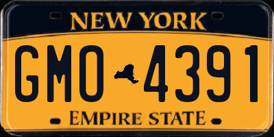 NY license plate GMO4391