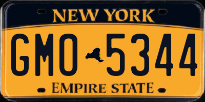 NY license plate GMO5344