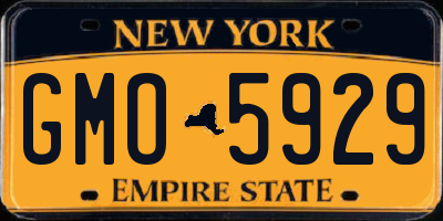 NY license plate GMO5929