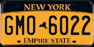 NY license plate GMO6022