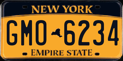 NY license plate GMO6234