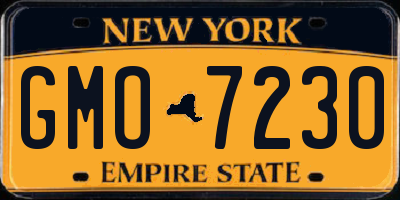 NY license plate GMO7230