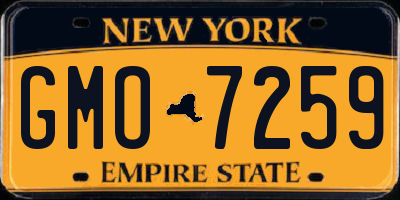 NY license plate GMO7259