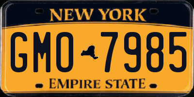 NY license plate GMO7985