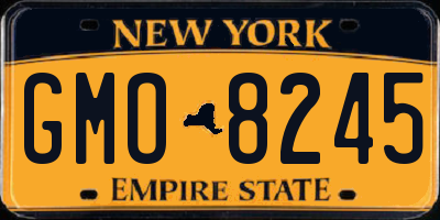 NY license plate GMO8245