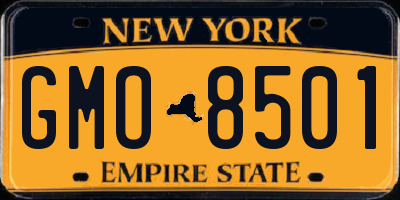 NY license plate GMO8501