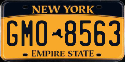 NY license plate GMO8563