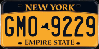 NY license plate GMO9229