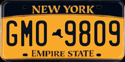 NY license plate GMO9809