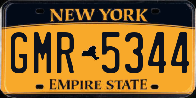 NY license plate GMR5344