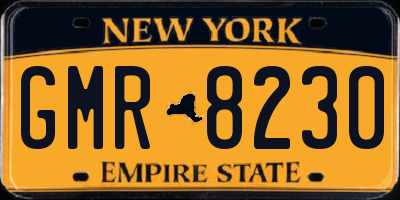 NY license plate GMR8230