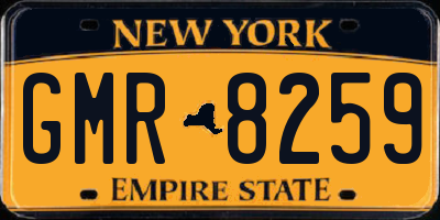 NY license plate GMR8259