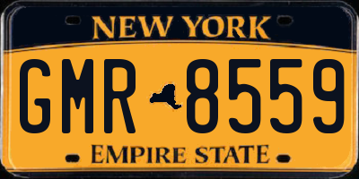 NY license plate GMR8559