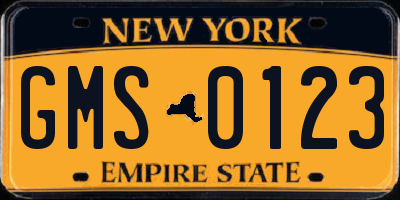 NY license plate GMS0123