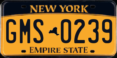 NY license plate GMS0239
