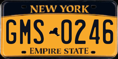 NY license plate GMS0246