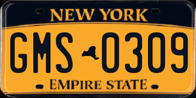 NY license plate GMS0309