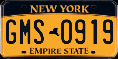 NY license plate GMS0919