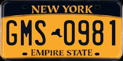 NY license plate GMS0981