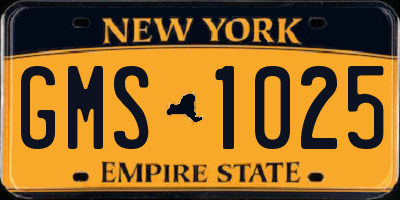 NY license plate GMS1025