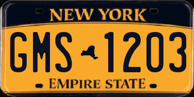 NY license plate GMS1203