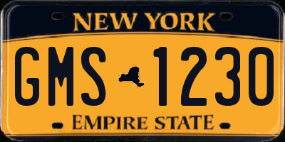 NY license plate GMS1230
