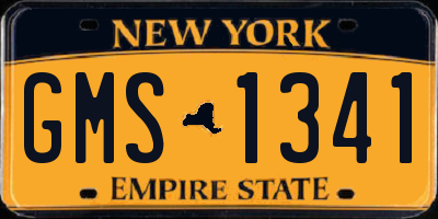 NY license plate GMS1341