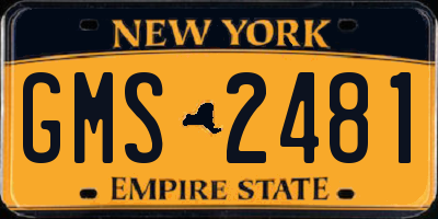NY license plate GMS2481