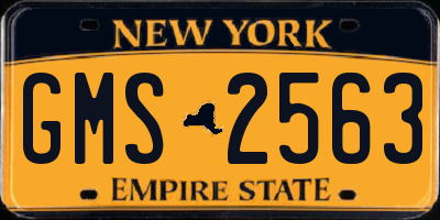 NY license plate GMS2563